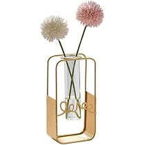 レイ　花瓶の花 油画 金色フレーム付き Amazon.co.jp: BIRLD ガラス管 フラワーベース 立体 ゴールド